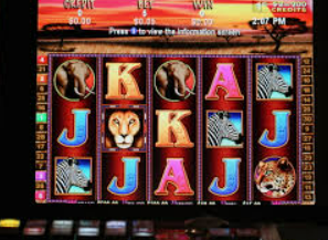 球速体育welcome免费版